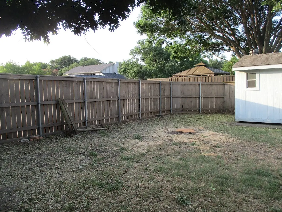 Cleared yard after professional tree removal in Scio