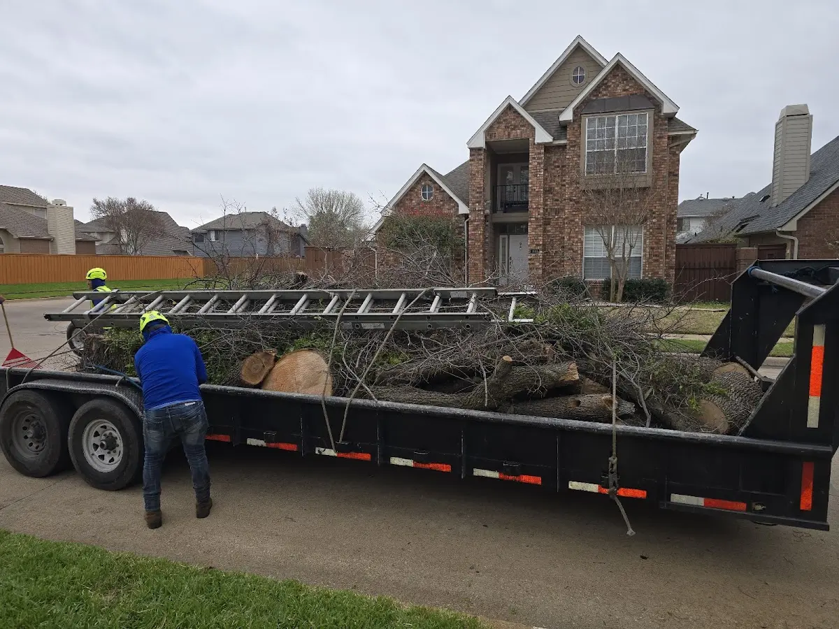 Expert Tree Fertilization with proper safety equipment in Scio